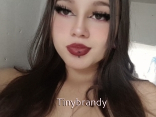 Tinybrandy