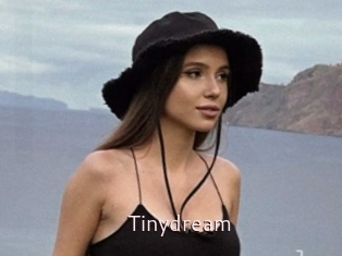 Tinydream