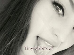Tinyrabbitcol