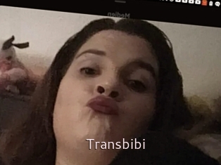 Transbibi