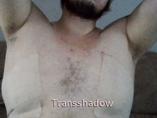 Transshadow