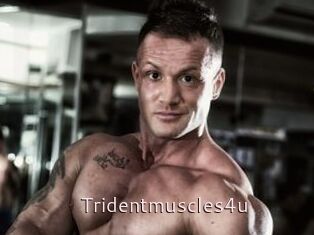 Tridentmuscles4u