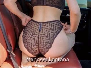 VanessaLantana