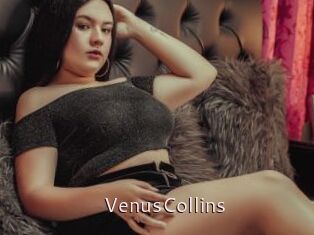 VenusCollins