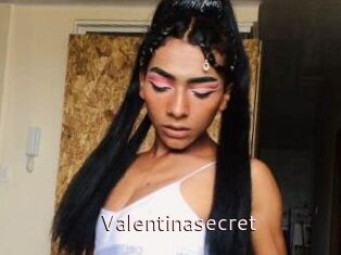 Valentinasecret