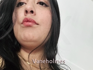 Vaneholmes
