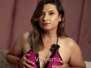 Vaneortiz