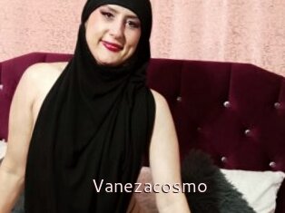 Vanezacosmo