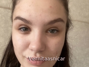 Vernitaasnicar