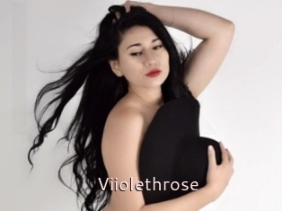 Viiolethrose