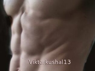 Viktarkushal13