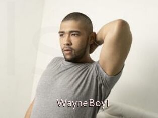 WayneBoyI