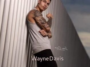 WayneDavis