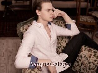 WayneGalager
