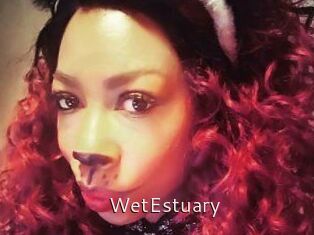 WetEstuary