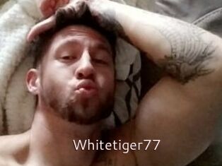 Whitetiger77