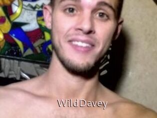 WildDavey