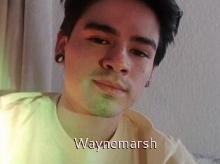 Waynemarsh