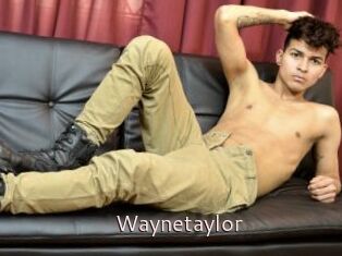 Waynetaylor