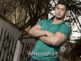 Waynneprice