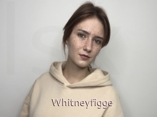 Whitneyfigge