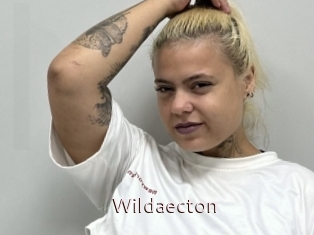 Wildaecton