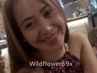 Wildflower69x