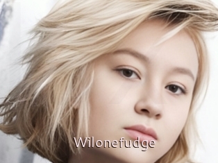 Wilonefudge