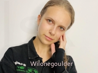 Wilonegoulder