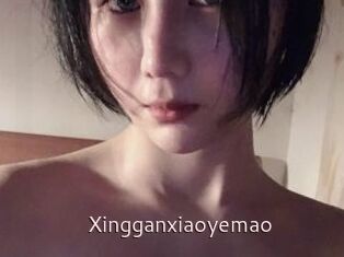 Xingganxiaoyemao