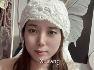 Xuzang