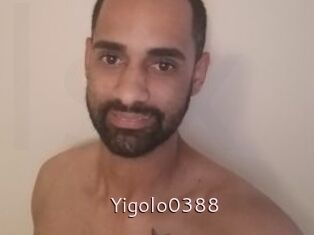 Yigolo0388
