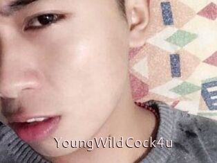 YoungWildCock4u