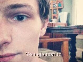 Youngbudstud