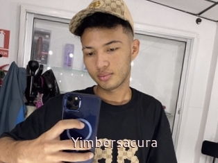 Yimbersacura