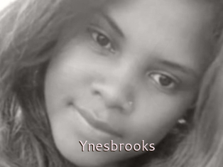 Ynesbrooks