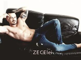 ZECElei