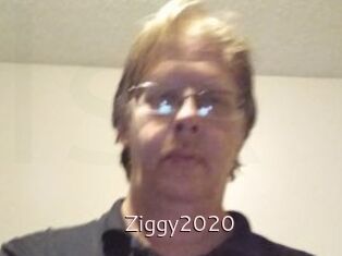 Ziggy2020