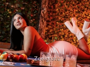 Zoeignatu